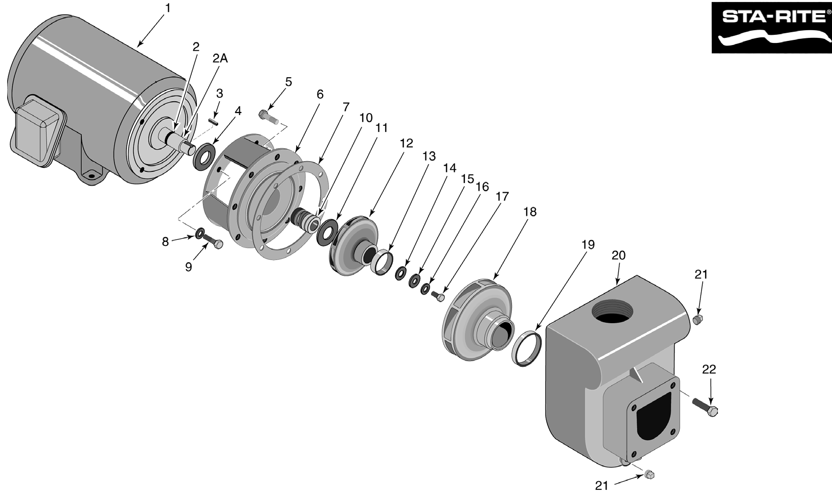 D Series Pump - Pentair Parts Diagram