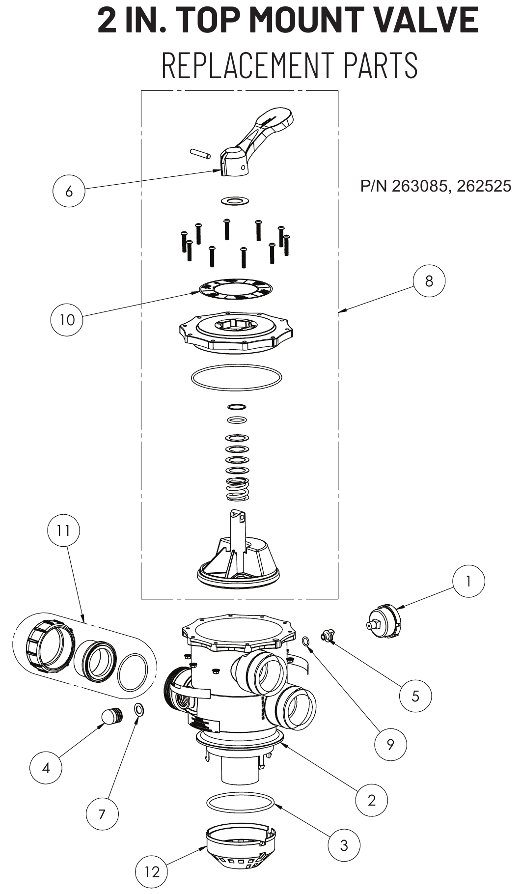 2 In. Top Mount Valve - Pentair Parts Diagram