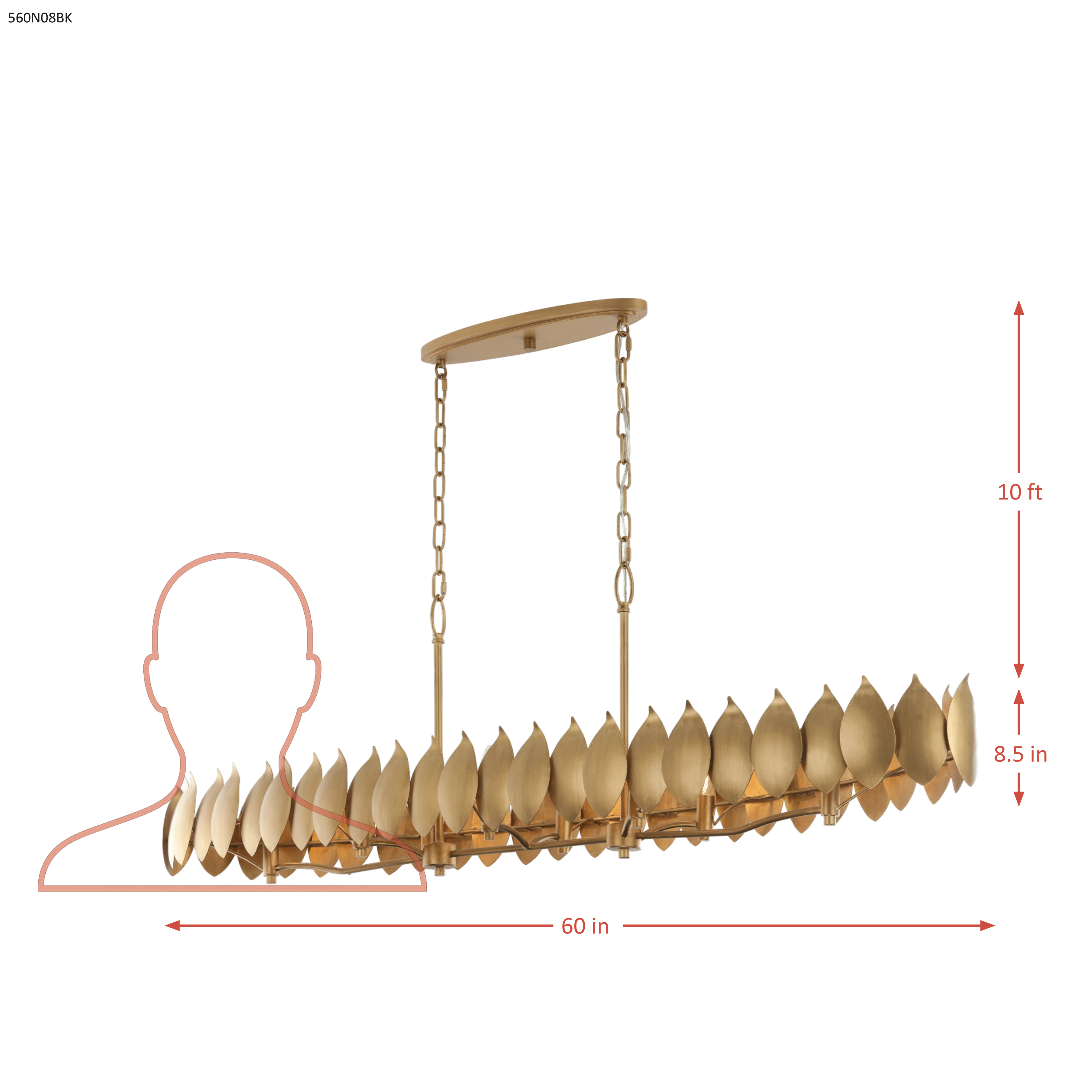 Petal Reign 8 Light Linear dimensions