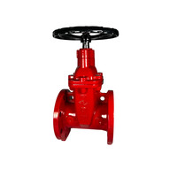 FL x FL Gate Valve