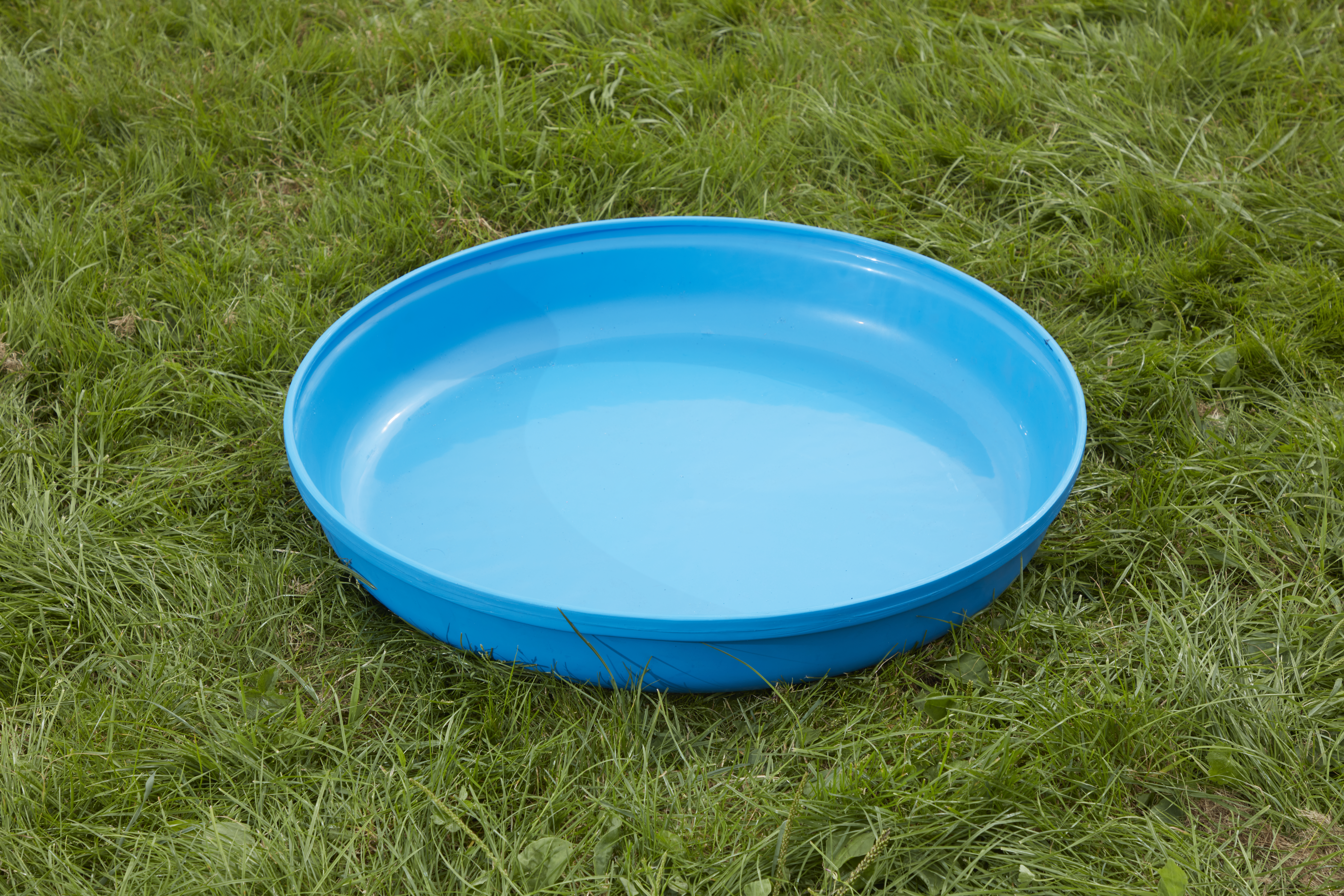 Deep Spot Tray - Blue