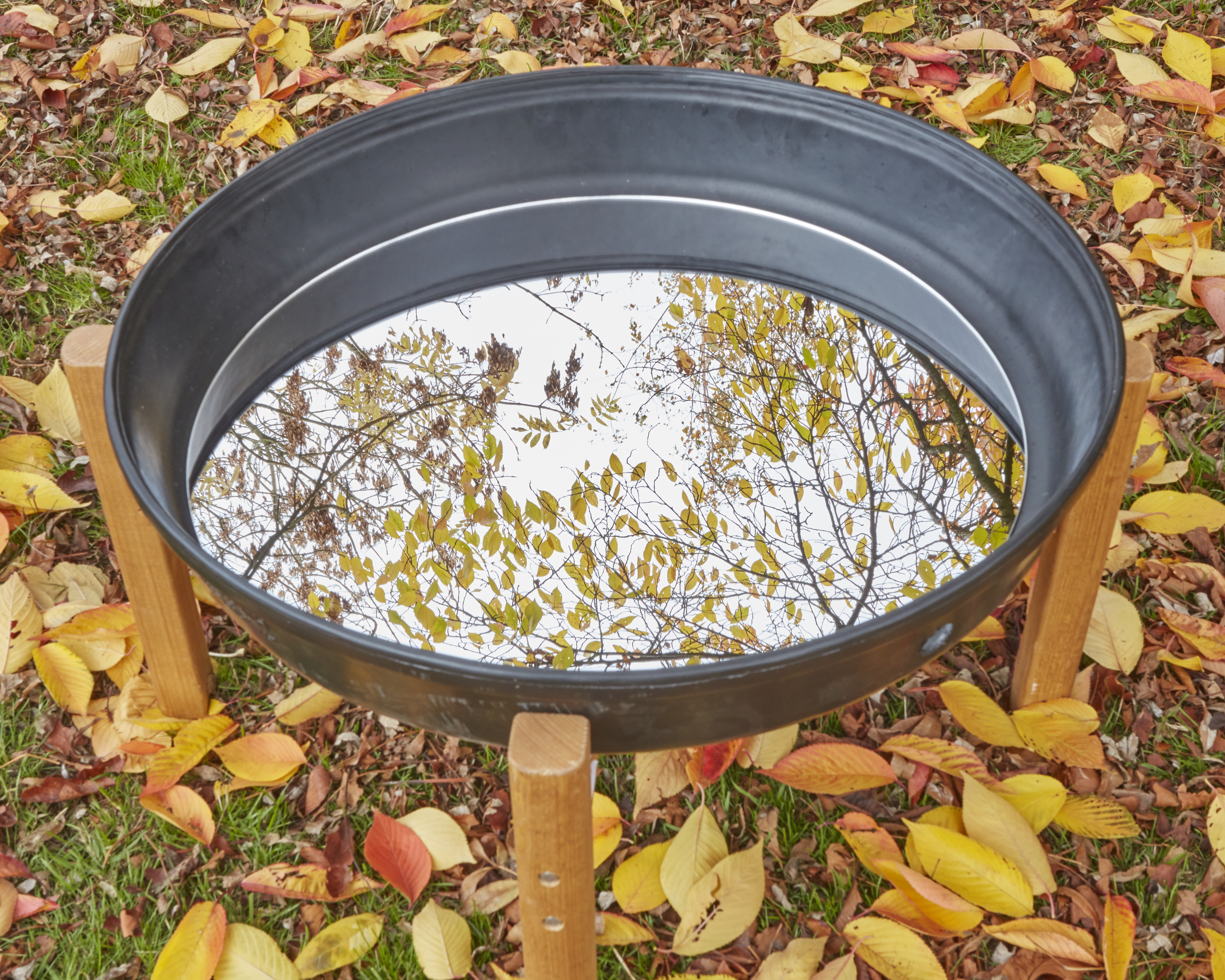 Deep Spot Tray Mirror Insert