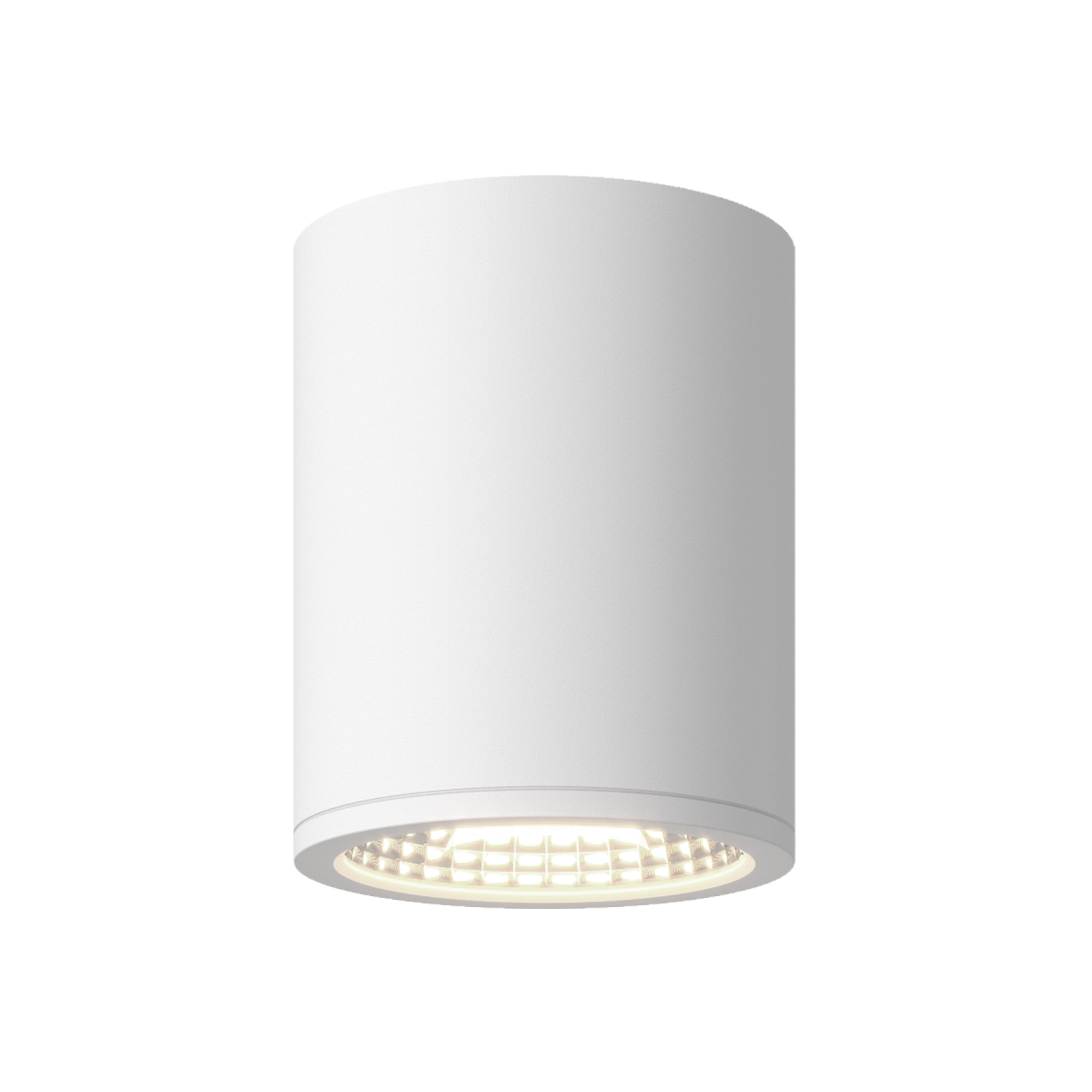 Nordic 6-in (5-in Dia.) White LED Exterior Ceiling