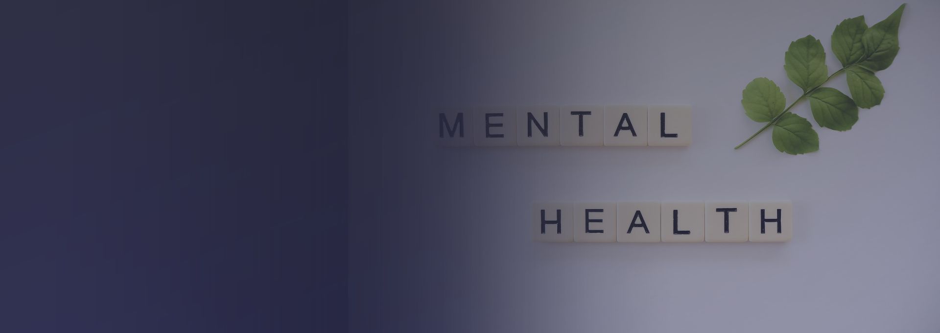 Portada de Noticia Integrando el mindfulness en nuestra vida