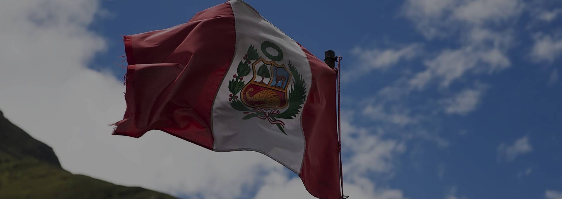 Portada de Noticia El voto de los sin voz