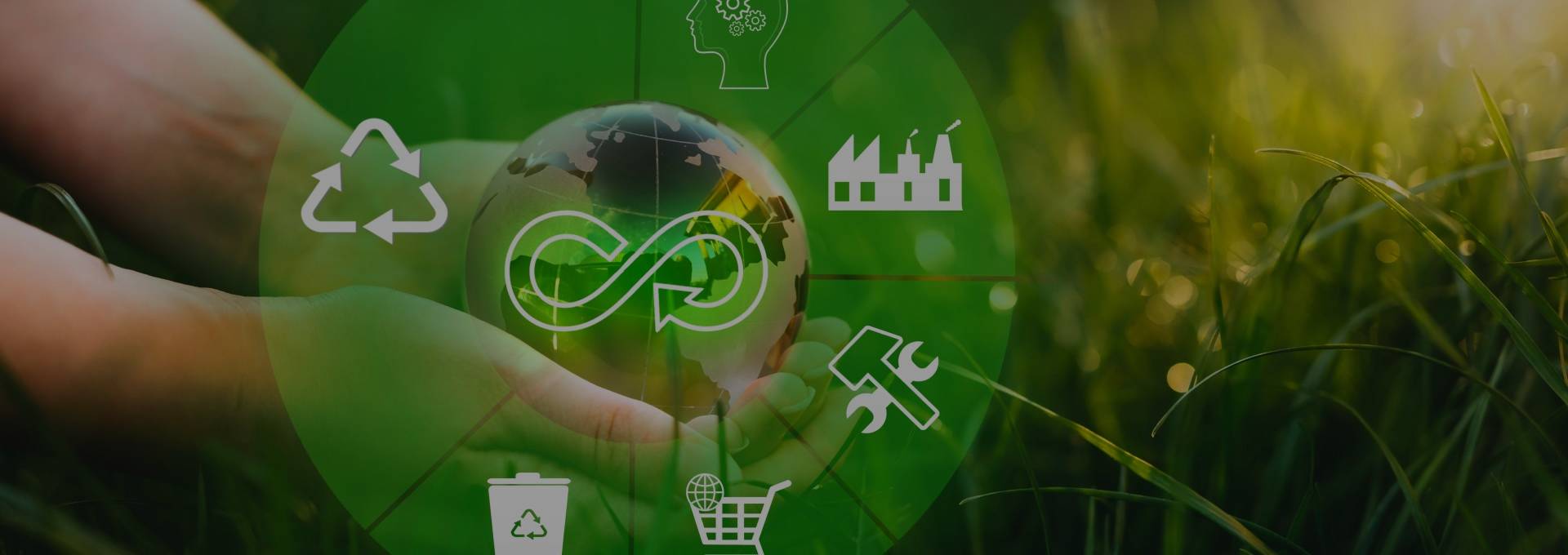 Portada de Noticia Impacto positivo en la comunidad con sostenibilidad y economía circular | Alejandro Camino