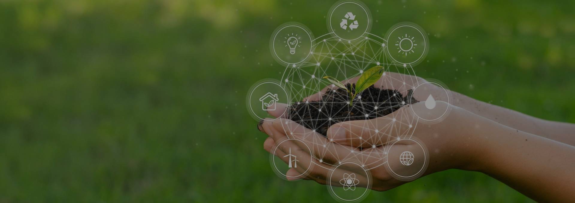 Portada de Noticia Para lograr negocios positivos es vital que protejamos el planeta | Julio Hernández