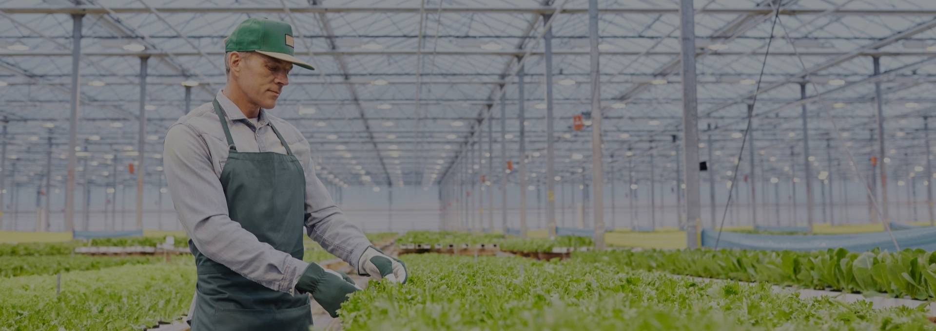 Portada de Noticia Protegiendo la agricultura sostenible
