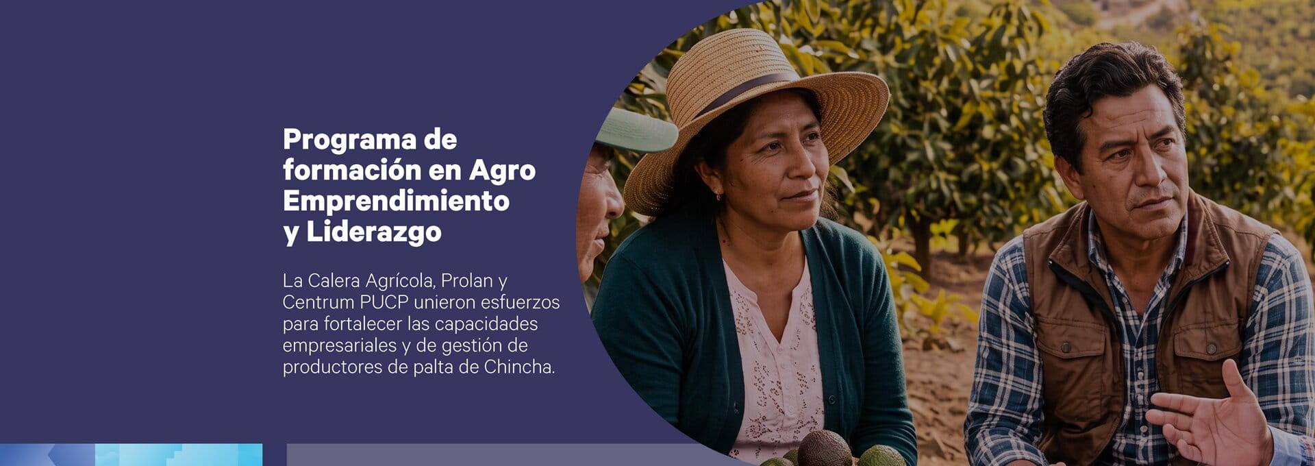 Portada de Noticia La Calera y Centrum PUCP fortalecieron capacidades empresariales de productores agrícolas de Chincha