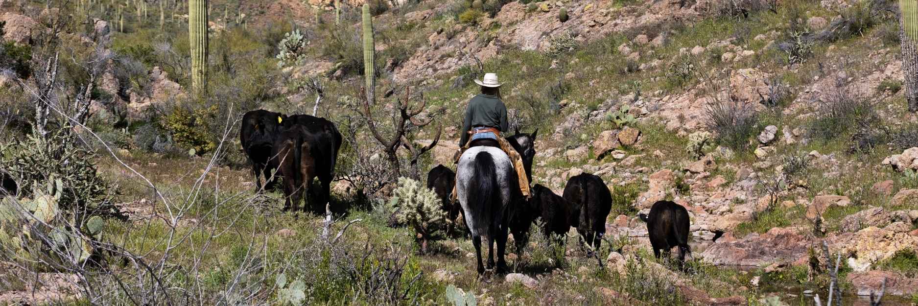 Donation Requests hero image