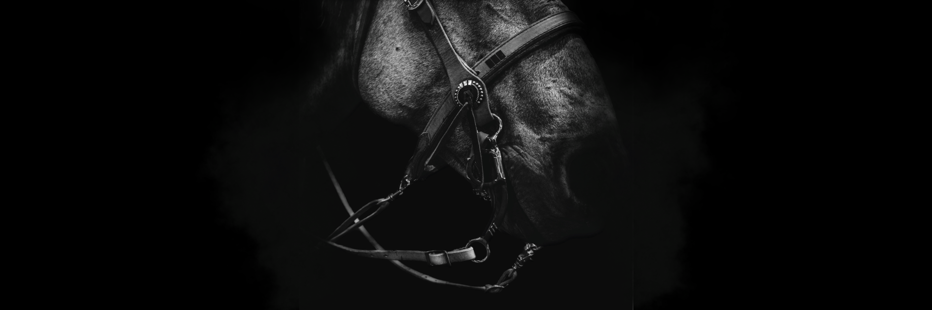 Bits to Last a Lifetime