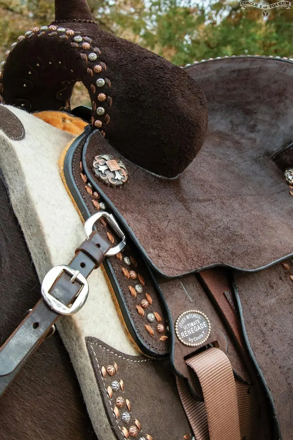 Close up of saddle