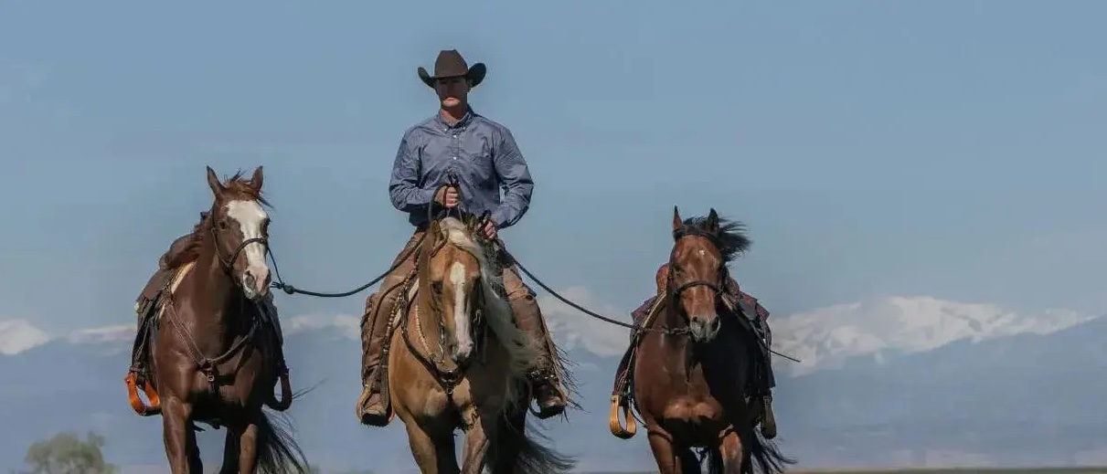 Rider Balance: How YOU Fit in the Saddle hero image