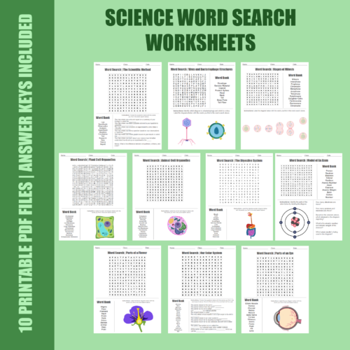 Word Search Bundle - Set 10 Beginner Science Diagrams and Vocabulary ...