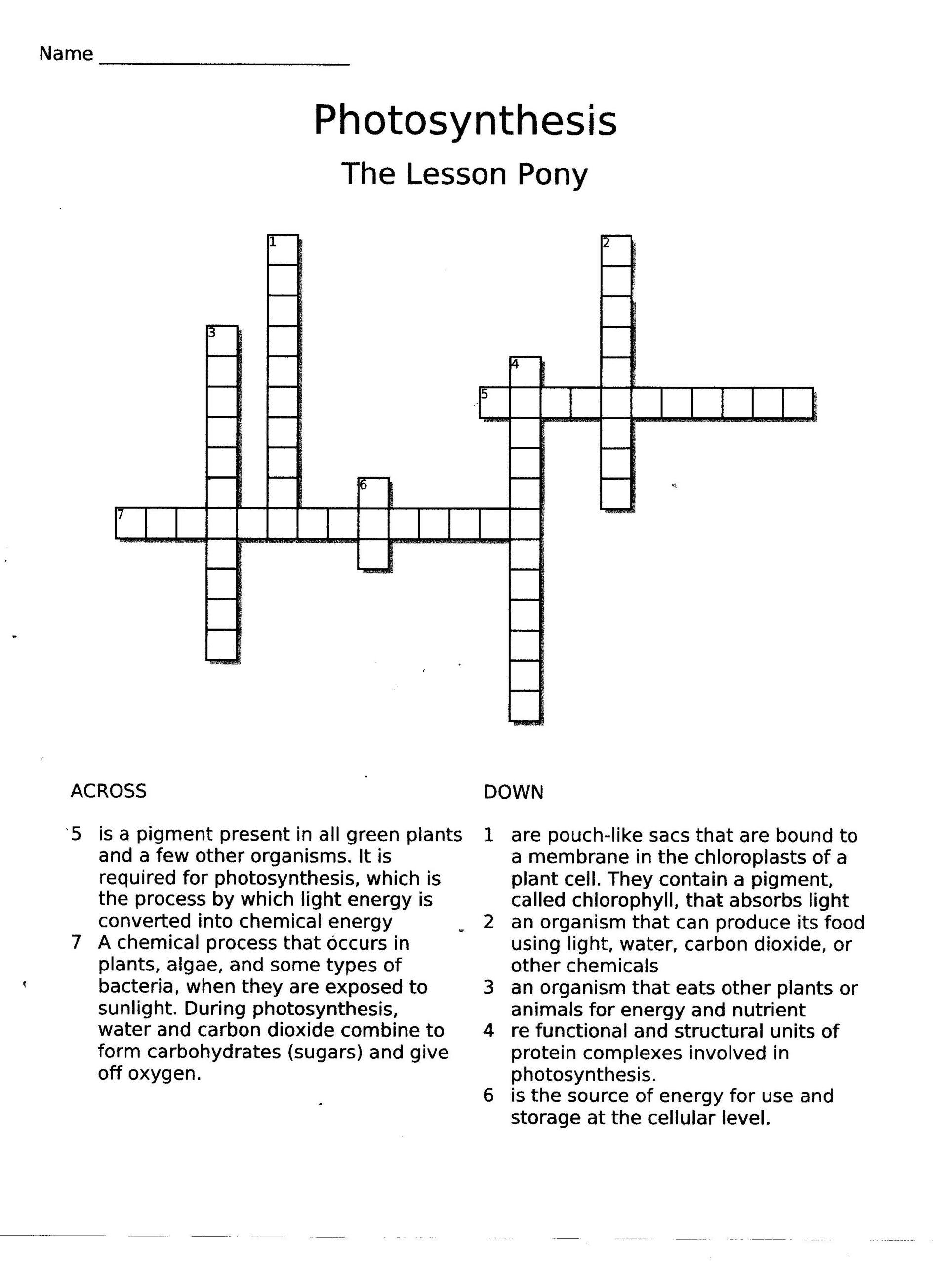 AP Biology Photosynthesis 2 Labs, Reading and Multiple Choice - Classful