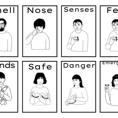 ASL The Five Senses Flashcards B/W & Color Boarders - Classful