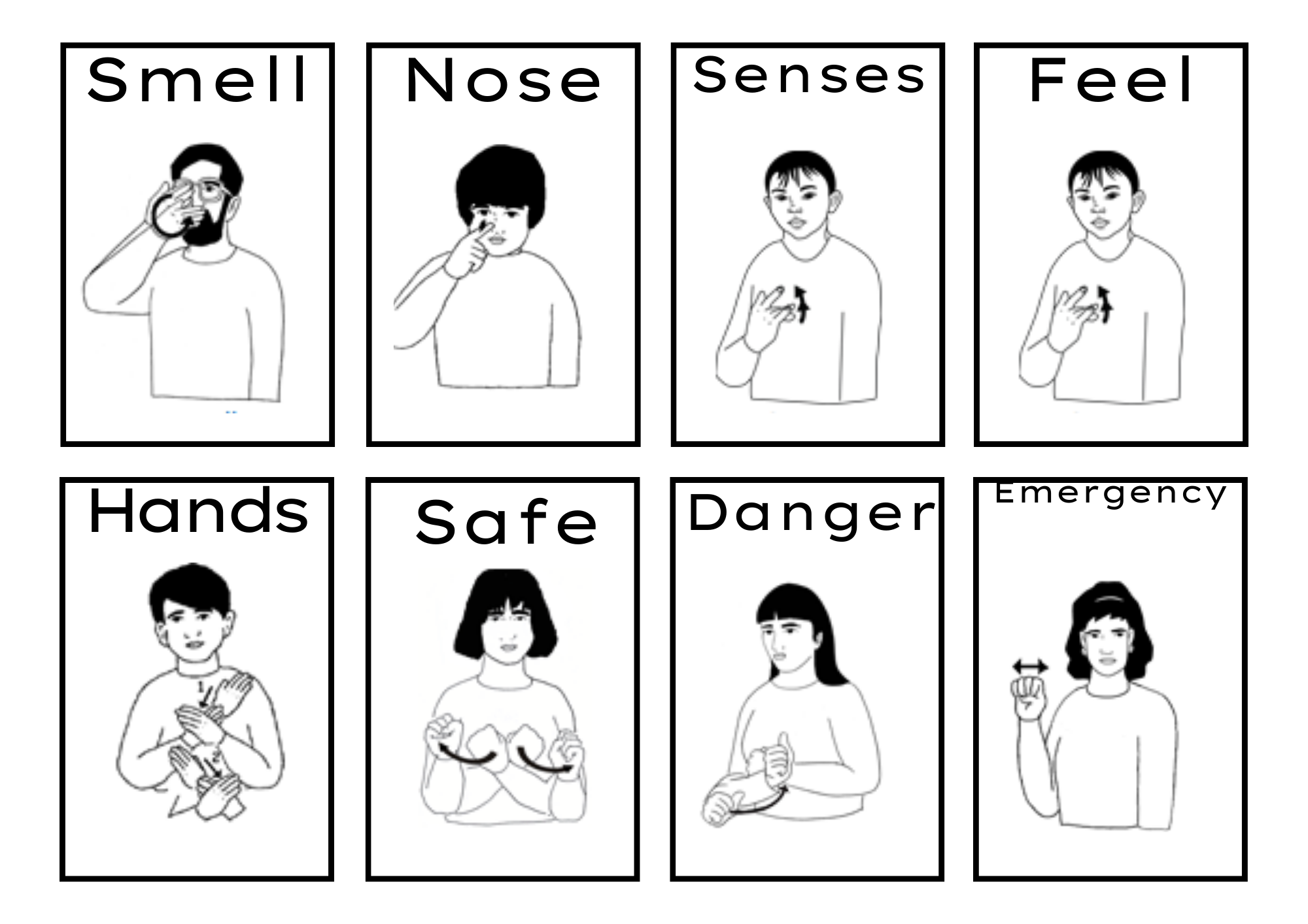 Five Senses Asl LEARNING A SECOND LANGUAGE: The Five Senses Los