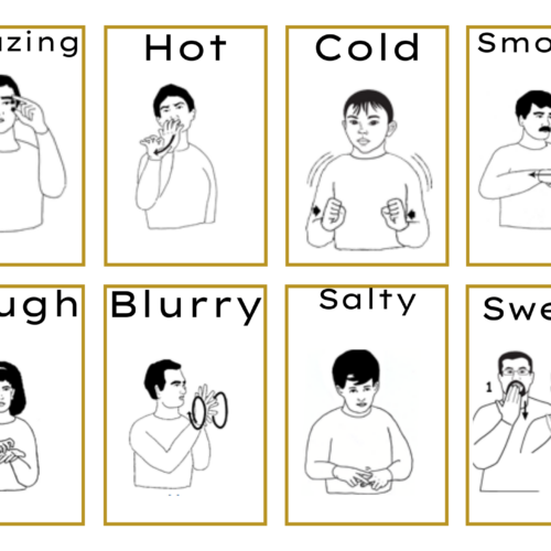 ASL The Five Senses Flashcards B/W & Color Boarders - Classful