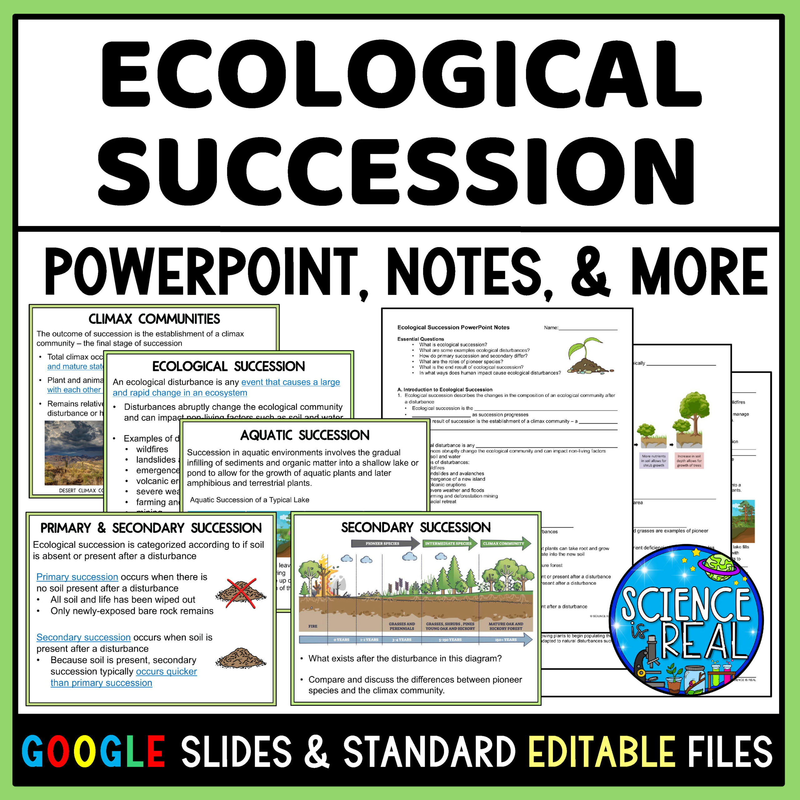 Ecological Succession Worksheets