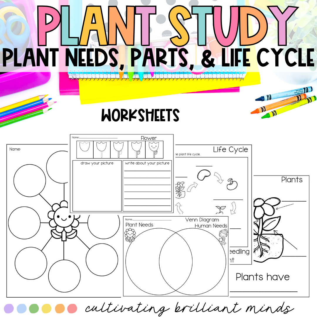 Plants vs Animals - What They Need