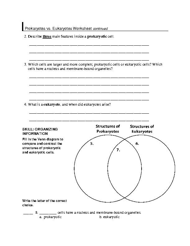 Prokaryotes Vs Eukaryotes Worksheet Prokaryotic And Eukaryotic Cells