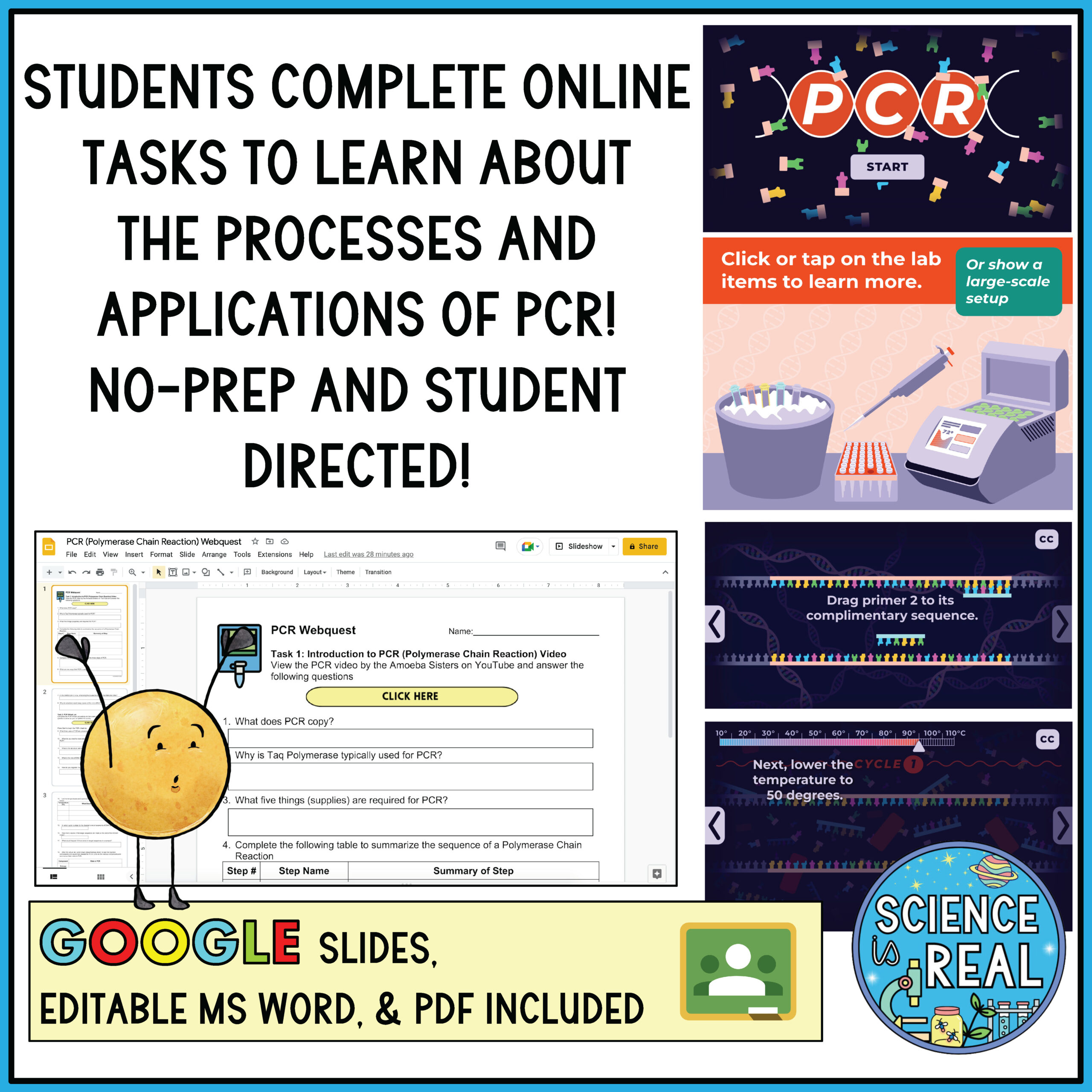 PCR Virtual Lab Biotechnology Webquest - Classful