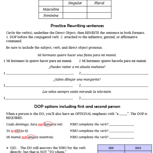 Spanish Direct Object Pronouns Guided Notes and Practice - Classful
