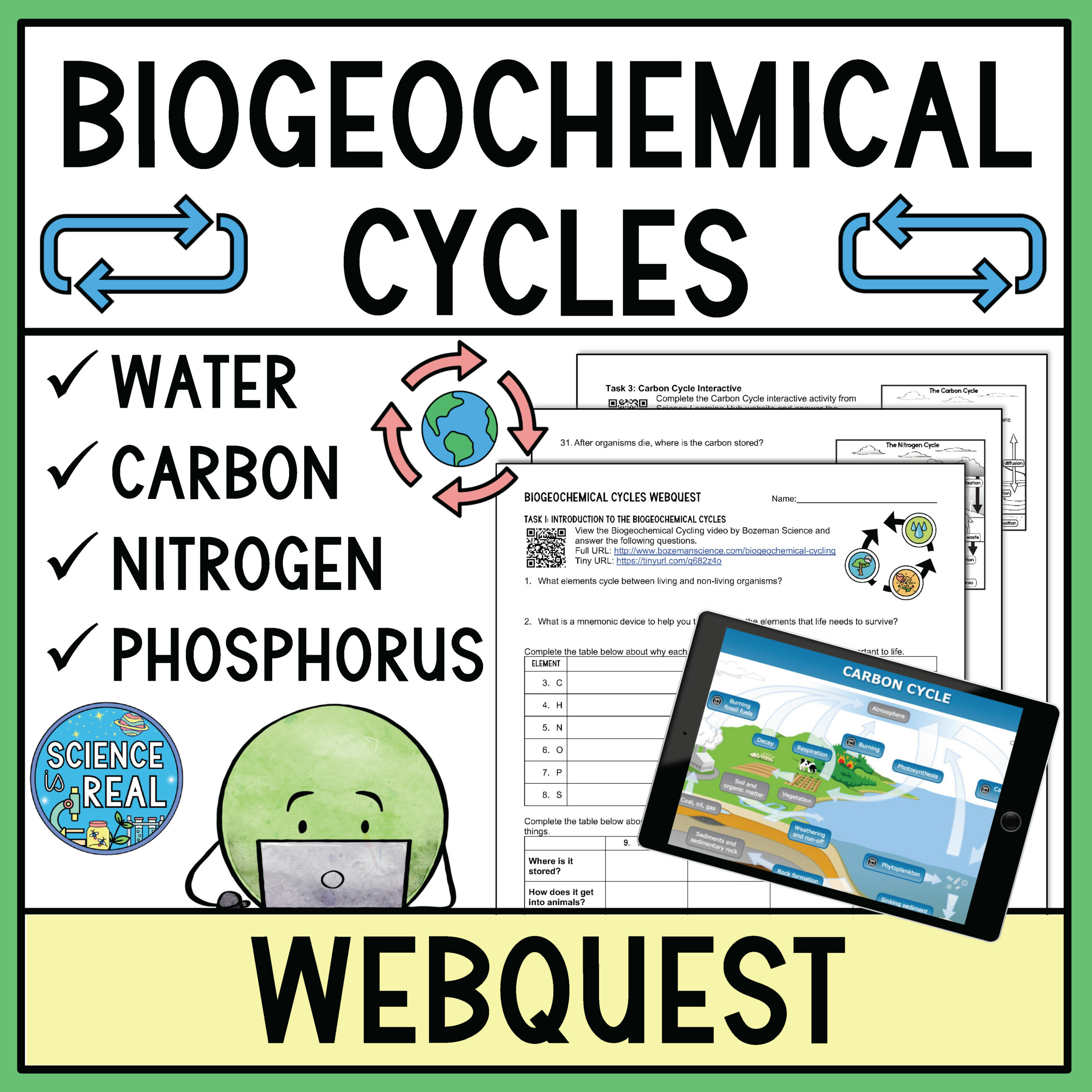 5 Exciting Ways to Bring the WOW Factor When Teaching Cycling of Matter -  Bright in the Middle, image size:2560x2560