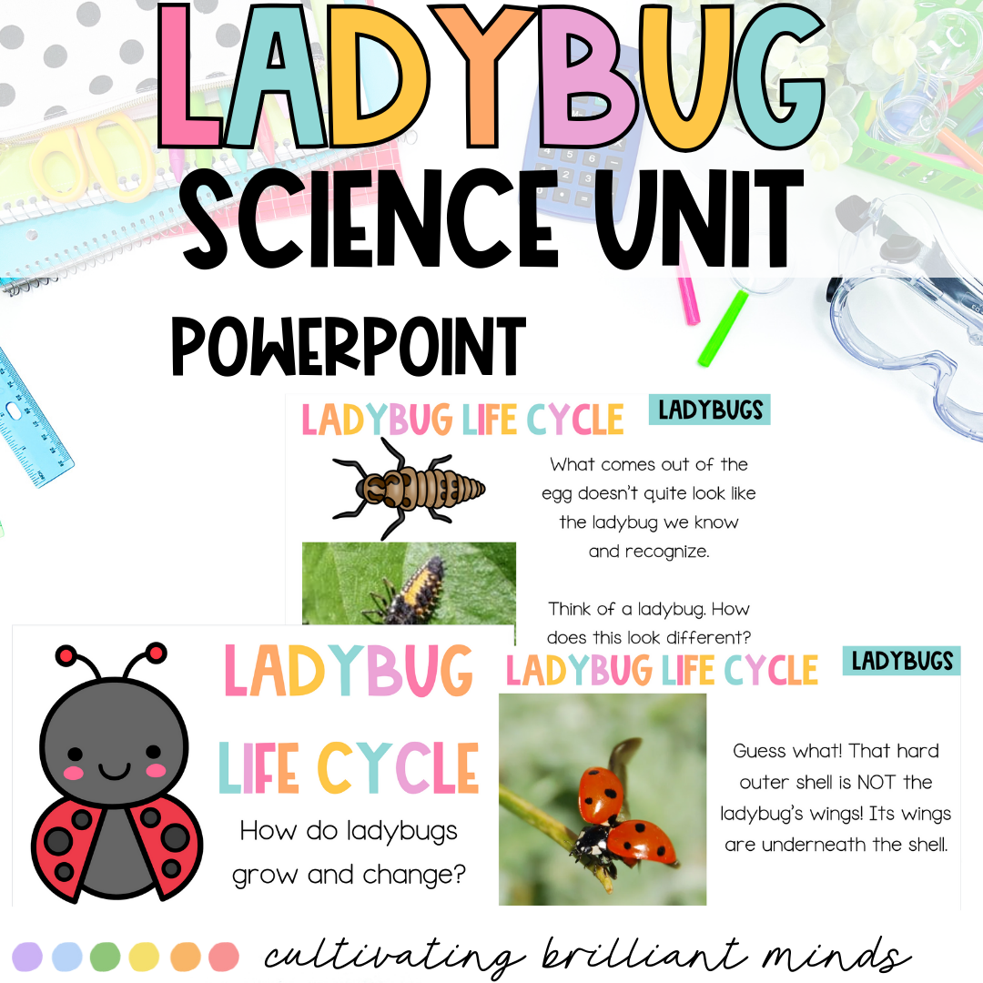 Ladybug Science & ELA Research Project | Nonfiction Unit | Life Cycle ...