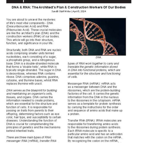 25x Biology-High School- Structure and Function of DNA and RNA - Classful