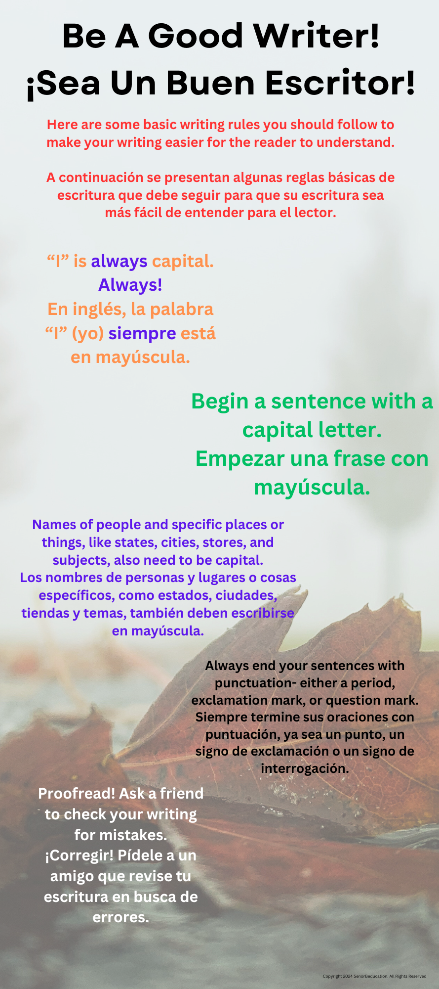 Be A Good Writer/Sea Un Buen Escritor Infographic for your classroom ...