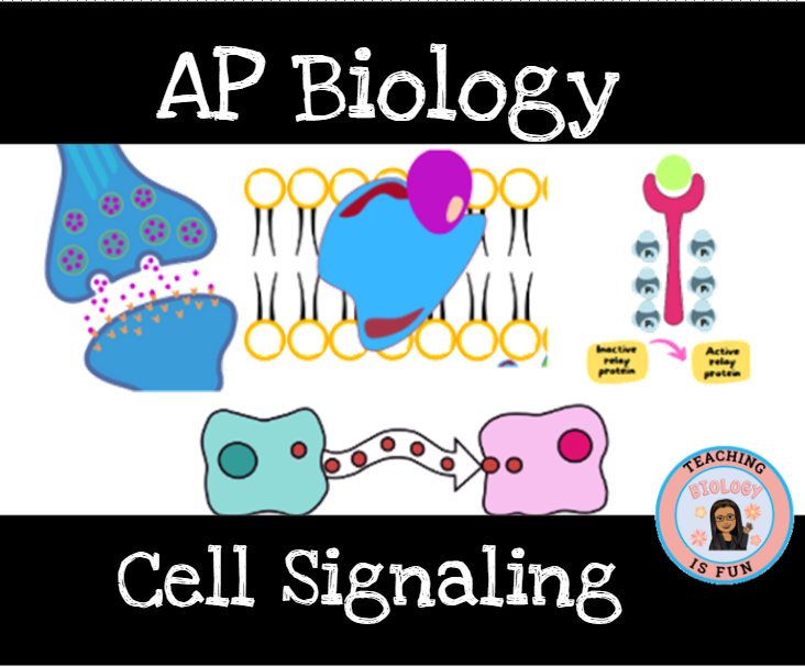 Cell Signaling Pathways Signal Transduction AP Biology - Classful