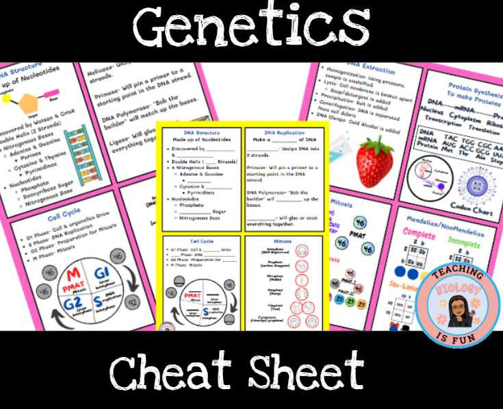 Genetics Cheat Sheet DNA, Biology Principles of Biomedical Science ...