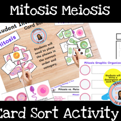 Mitosis Meiosis Card Sort - Classful