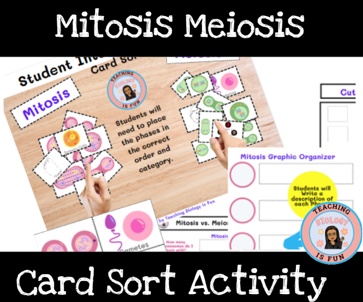 Mitosis Meiosis Card Sort - Classful