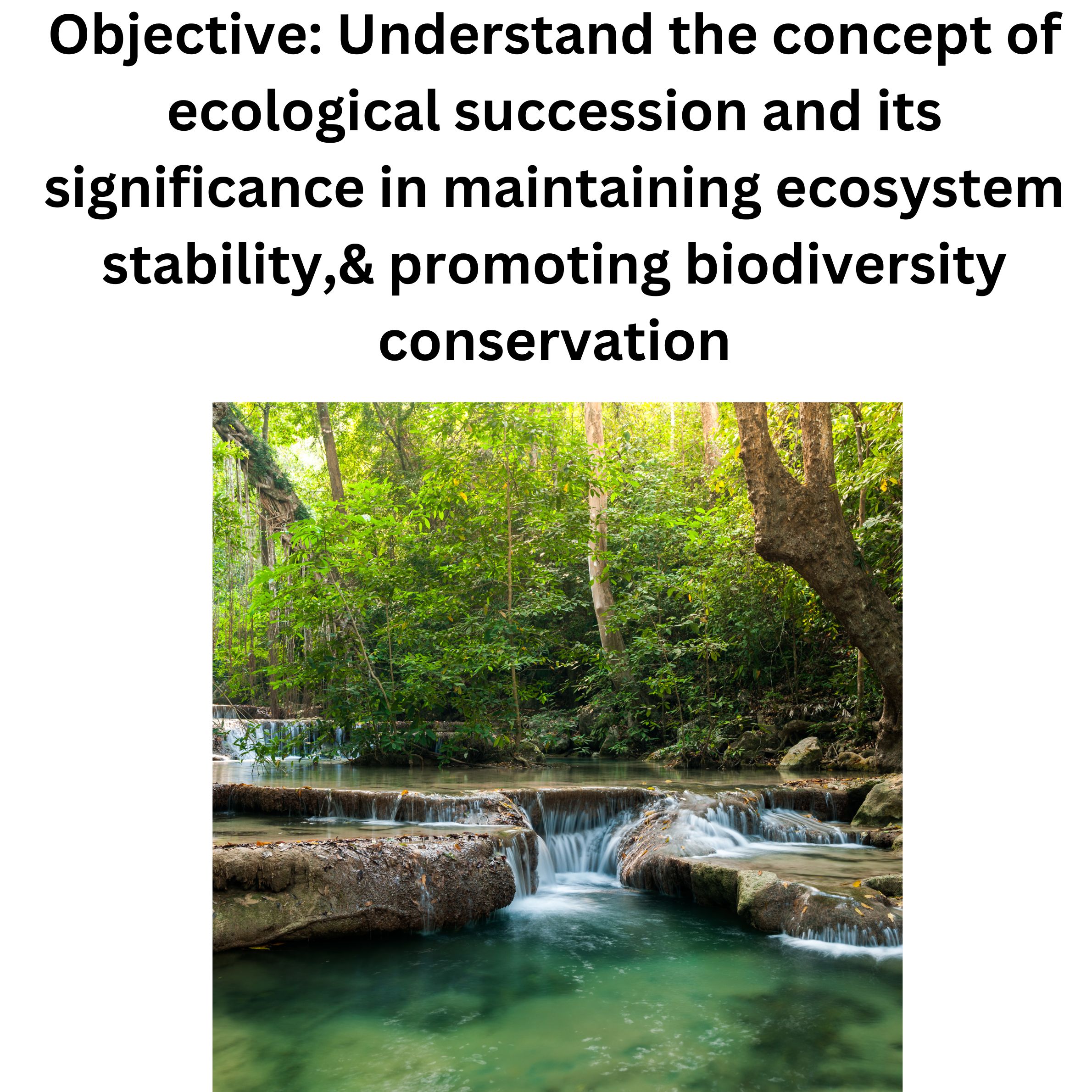 Ecological succession aquatic plants to pine trees Lake of the Woods Oregon  Stock Photo - Alamy, image size:2380x2380