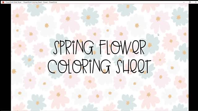 Gallery video 1