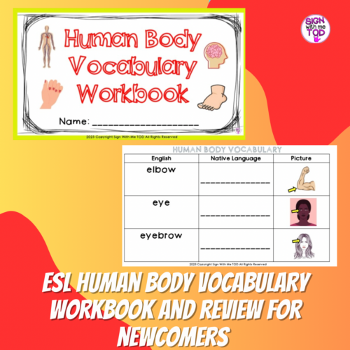 ESL Human Body Vocabulary Workbook for Newcomers's featured image