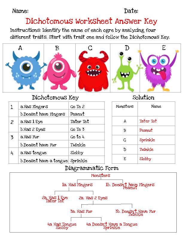 Dichotomous Key Classification Biology - Classful
