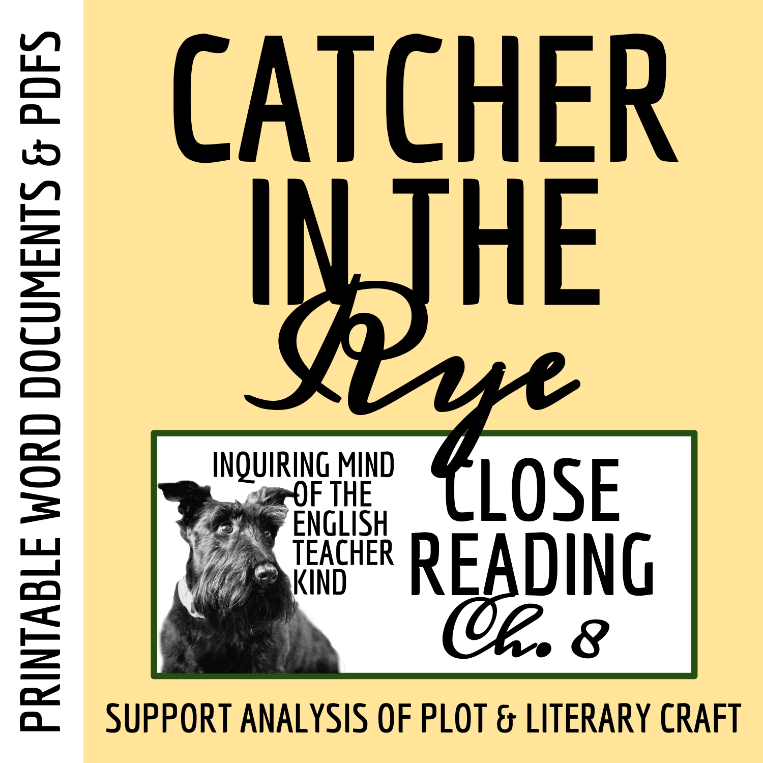 Catcher in the Rye Chapter 8 Close Reading Analysis Worksheet's featured image