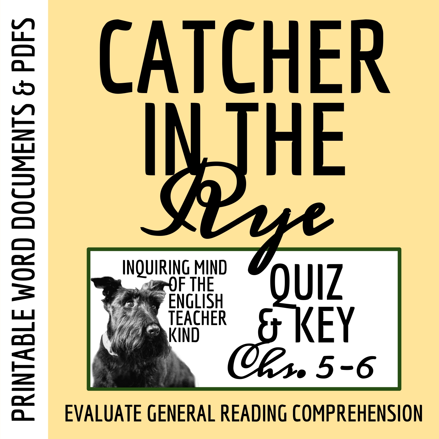 Catcher in the Rye Chapters 5 and 6 Quiz and Answer Key - Classful