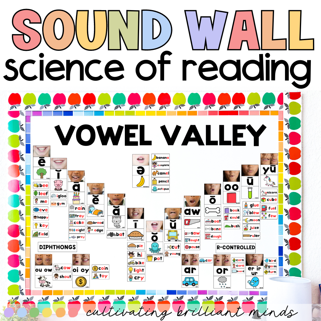 thumbnail image 2 of Ufli Materials Sound Wall Classroom Phonics Kit, Science Of Reading Sound Wall Consonants & Vowel Valley Classroom Decor, Phonemic Awareness, Speech Therapy Materials (208 Cards Hand2mind Phonics 2 of 11