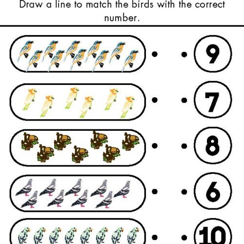 Bird Math Pre K Worksheets Bird Themed Math Pack, math, preschool math ,themes, worksheets, math ...
