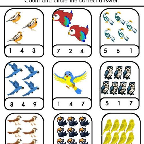 Bird Themed Math Pack, math, preschool math ,themes, worksheets, math ...