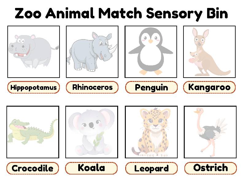 Zoo Animal Match Sensory Bin, Sensory Bin, Toddler Sensory Bin ...