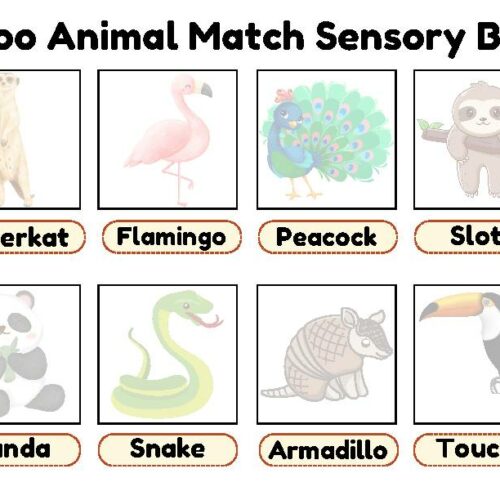 Zoo Animal Match Sensory Bin, Sensory Bin, Toddler Sensory Bin ...