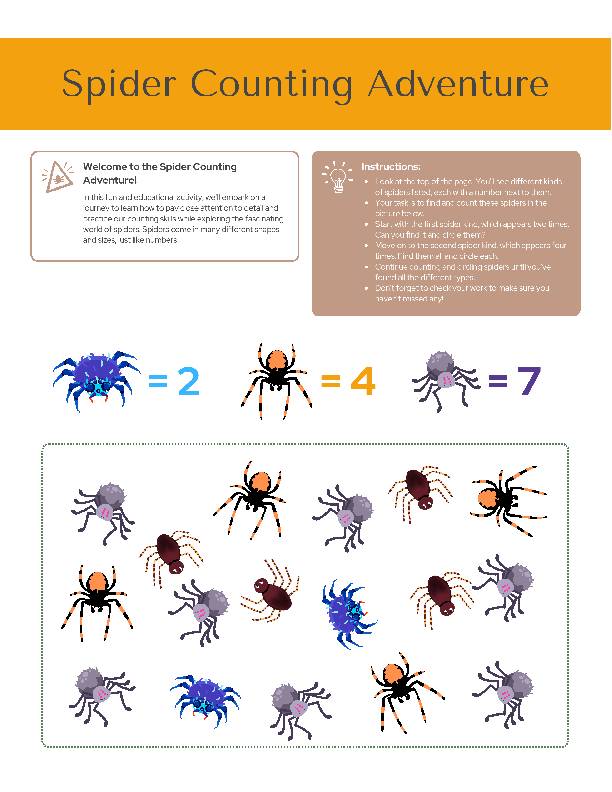 Spider Adventure - Explore the fascinating world of spiders