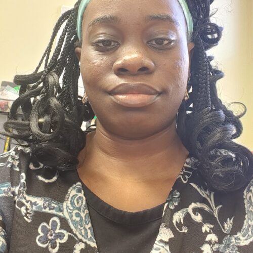 Bidemi Oladiran's avatar