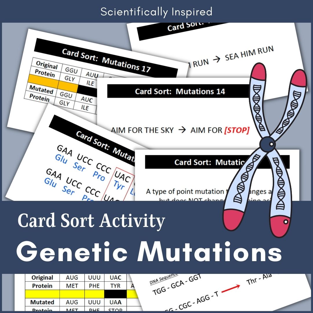 Genetic Mutation Card Sort Activity - Easy Prep w/ BONUS Gene Mutations ...