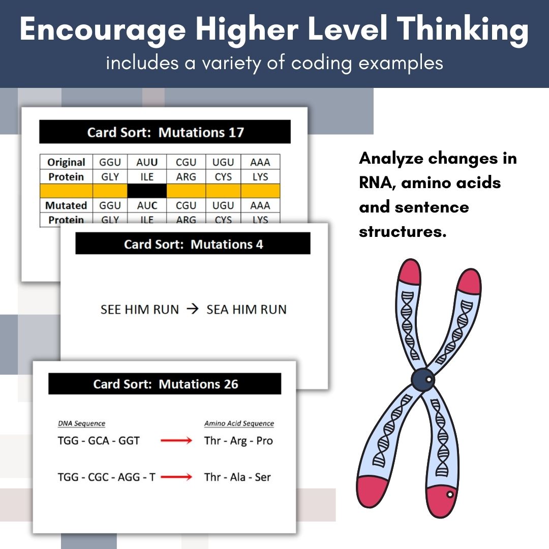 Genetic Mutation Card Sort Activity - Easy Prep w/ BONUS Gene Mutations ...